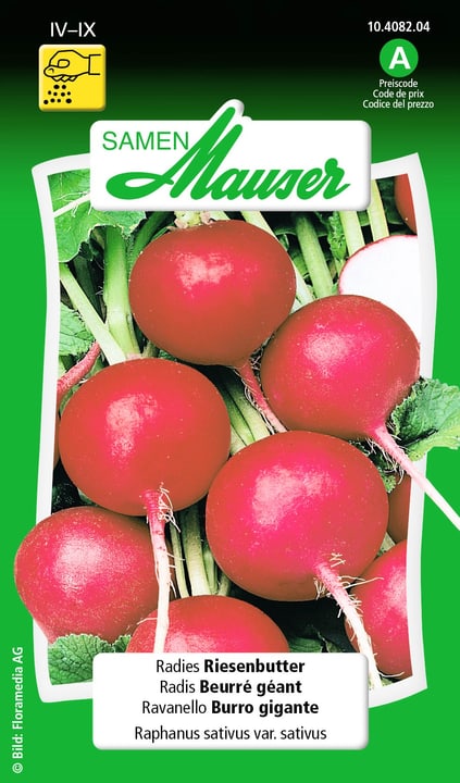 Image of Samen Mauser Radies Riesenbutter Gemüsesamen bei Do it + Garden von Migros