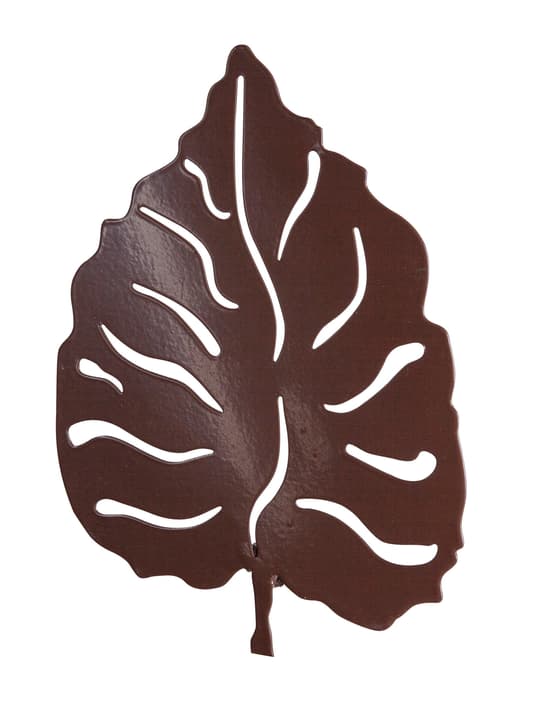 Image of Windhager Deko Aufsatz Blatt Pflanzenstab bei Do it + Garden von Migros