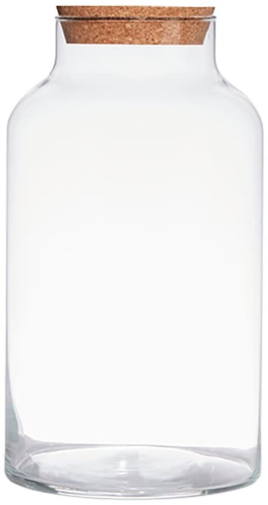 Image of Hakbjl Glass Terrarium Anna Vase bei Do it + Garden von Migros