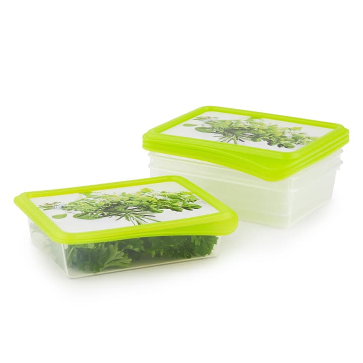 Image of Rotho RONDO Vorratsdose Tiefkühldose bei Do it + Garden von Migros