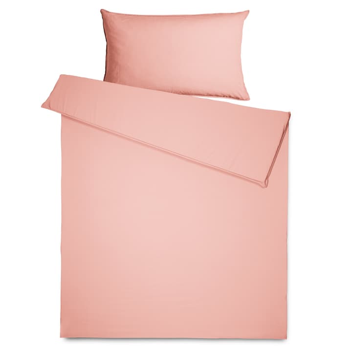 SIENNA Federa per cuscino percalle SIENNA Federa per cuscino percalle 376074910638 Dimensioni L: 65.0 cm x L: 65.0 cm Colore Rosa N. figura 1