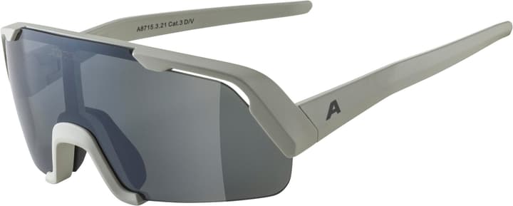 Image of Alpina Rocket Youth Sportbrille hellgrau