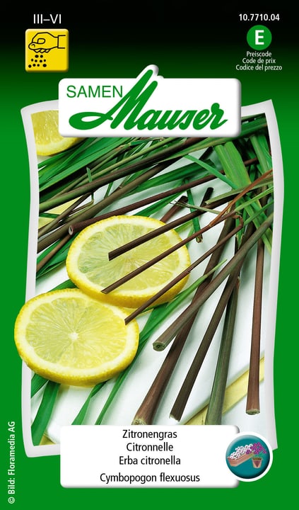 Image of Samen Mauser Zitronengras Kräutersamen bei Do it + Garden von Migros