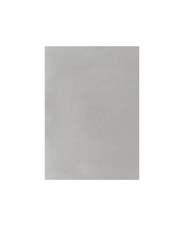 Image of Fotokarton A4, Silber bei Do it + Garden von Migros