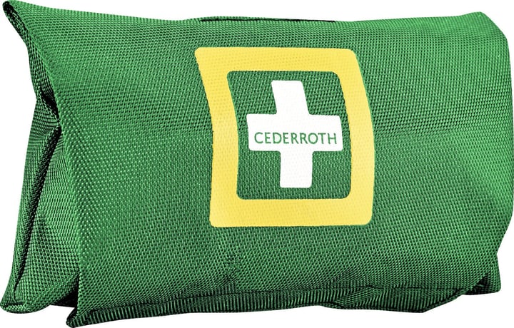 Cederroth Kit di pronto soccorso Small