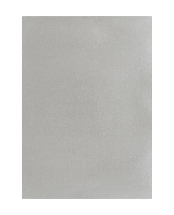 Image of Tonpapier 50 x 70 Silber bei Do it + Garden von Migros