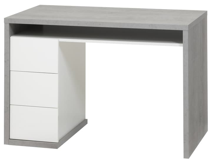 LEWIS Bureau LEWIS Bureau 401820600000 Photo no. 1