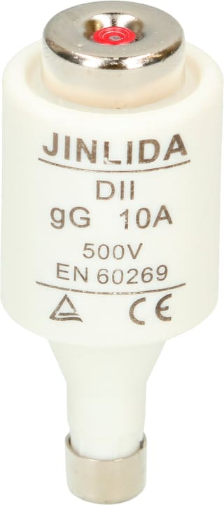 Image of Max Hauri Sicherung DT II Träge 10A 5 Stk. bei Do it + Garden von Migros