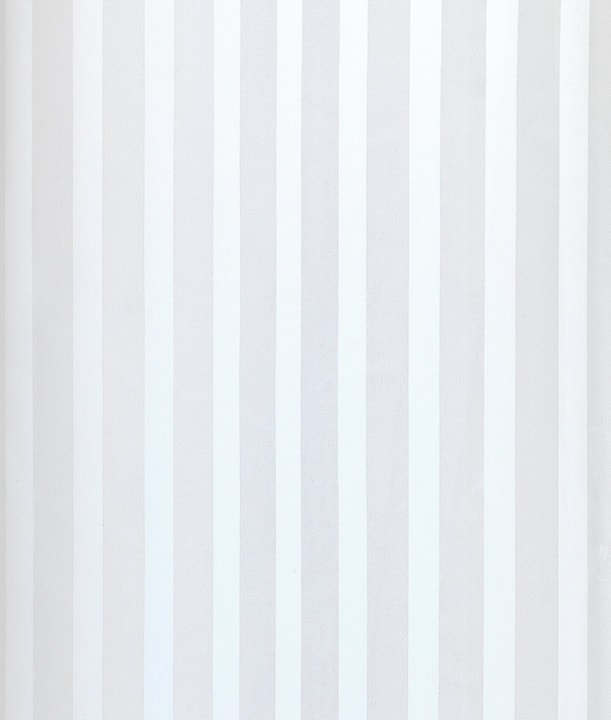 Image of WENKO Duschvorhang Palais Anti-Schimmel bei Do it + Garden von Migros