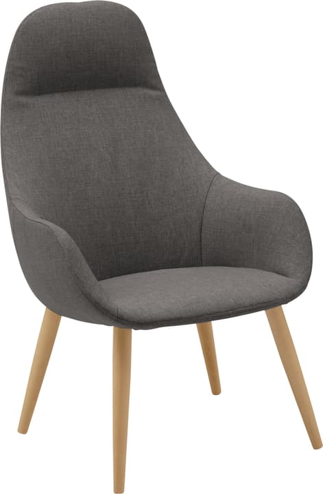 FRIEDA Sessel FRIEDA Sessel 402475507083 Farbe Dunkelgrau Grösse B: 65.0 cm x T: 74.0 cm x H: 103.0 cm Bild Nr. 1