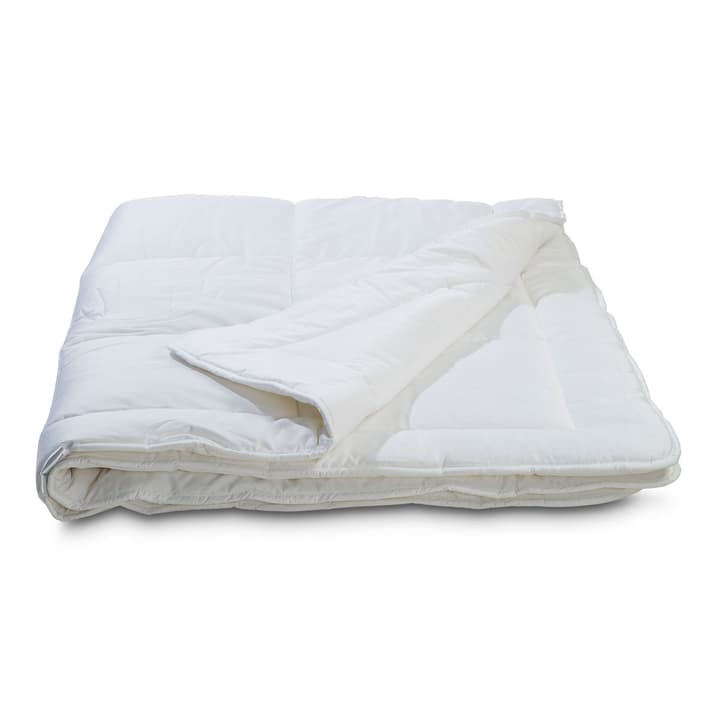 BAMBOO Piumino in fibra naturale BAMBOO Piumino in fibra naturale 376042000000 Colore Bianco Dimensioni L: 210.0 cm x L: 200.0 cm N. figura 1