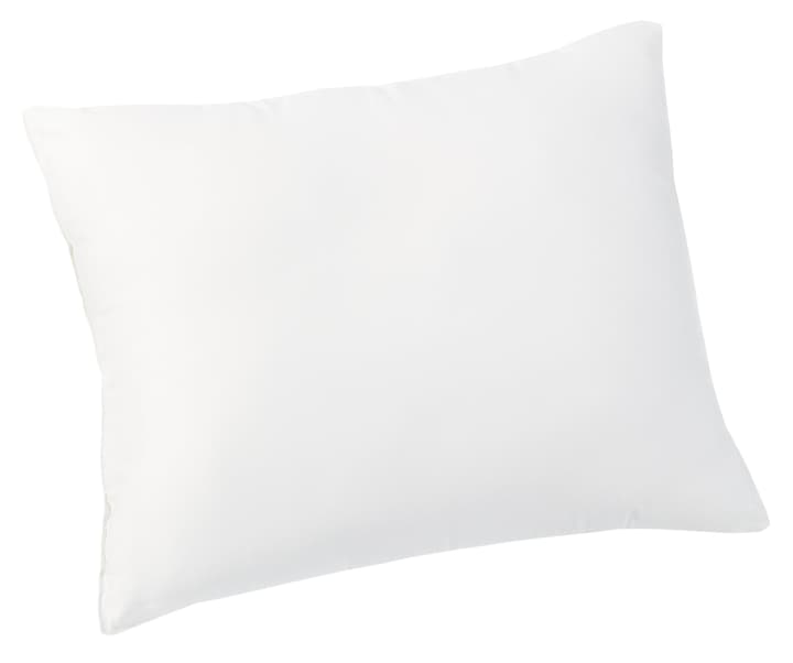 SANAFIBRA Oreillers pour enfant SANAFIBRA Oreillers pour enfant 451740910410 Couleur Blanc Dimensions L: 60.0 cm x H: 40.0 cm Photo no. 1