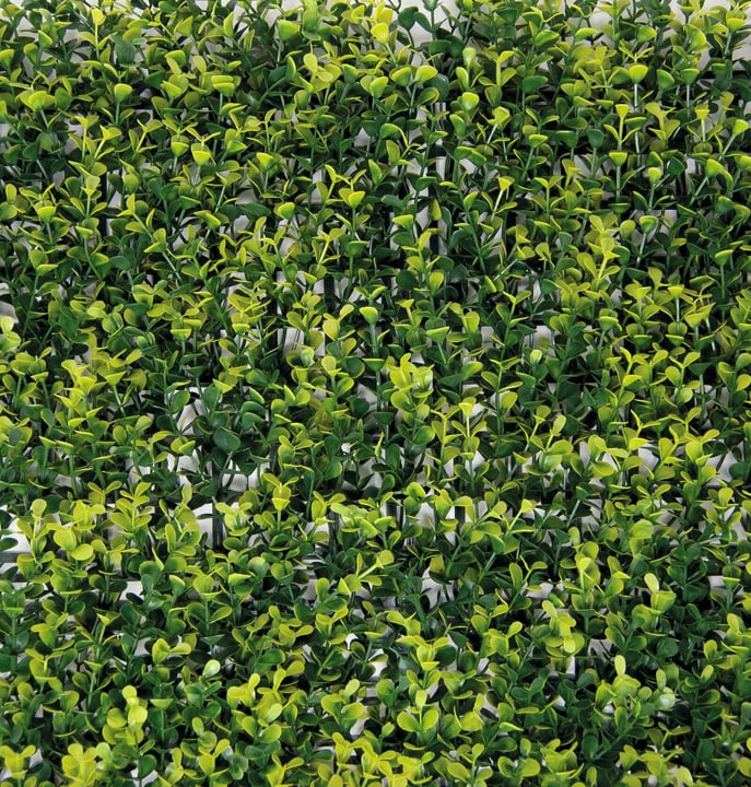 Image of TENAX Synthetische Hecke DIVY 3D PANEL BUXUS Sichtschutzmatte bei Do it + Garden von Migros