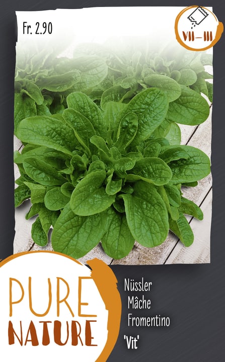 Image of Nüssler Feldsalat 'Vit' 5g Gemüsesamen bei Do it + Garden von Migros