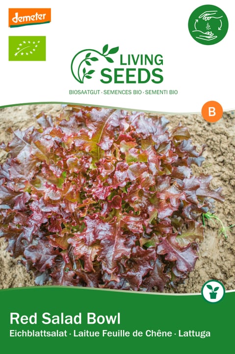 Image of Living Seeds roter Eichblatt Salat, red Salad Bowl Gemüsesamen