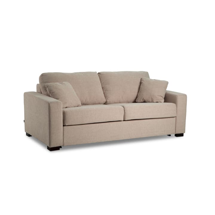 GEORGE Vera 3er Bettsofa GEORGE Vera 3er Bettsofa 360206800000 Grösse B: 140.0 cm x T: 195.0 cm Farbe Hellbraun Bild Nr. 1
