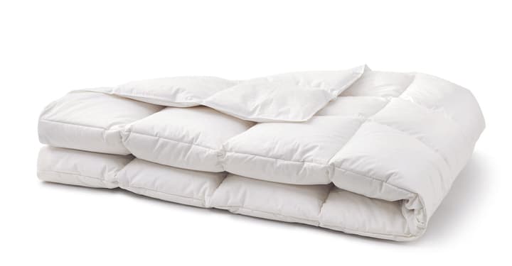 CLASSADAUN STANDARD Couette CLASSADAUN STANDARD Couette 451752612710 Couleur Blanc Dimensions L: 240.0 cm x P: 240.0 cm Photo no. 1