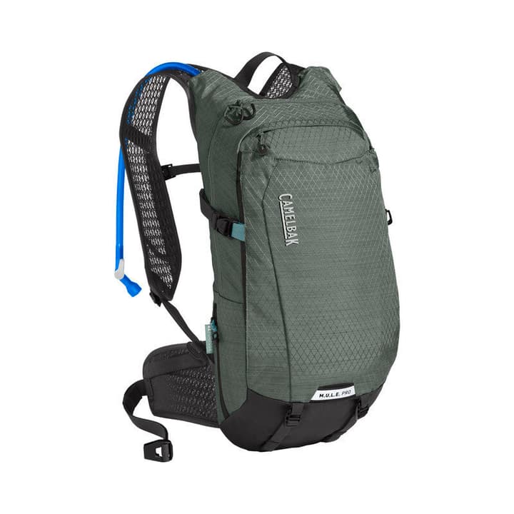 Image of Camelbak M.u.l.e Pro 14 Bike Rucksack grau bei Migros SportXX