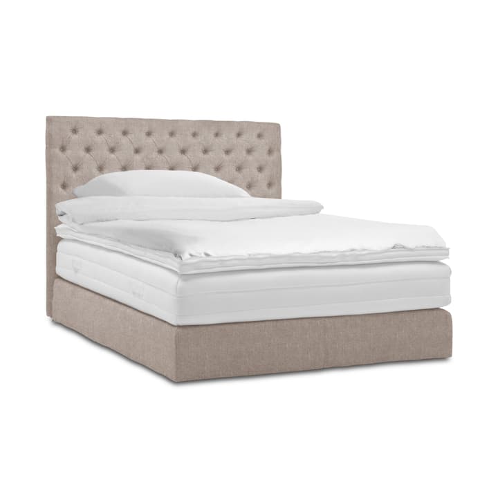 GRACE Boxspringbett GRACE Boxspringbett 364293700000 Grösse B: 200.0 cm x T: 160.0 cm Farbe Sand Bild Nr. 1