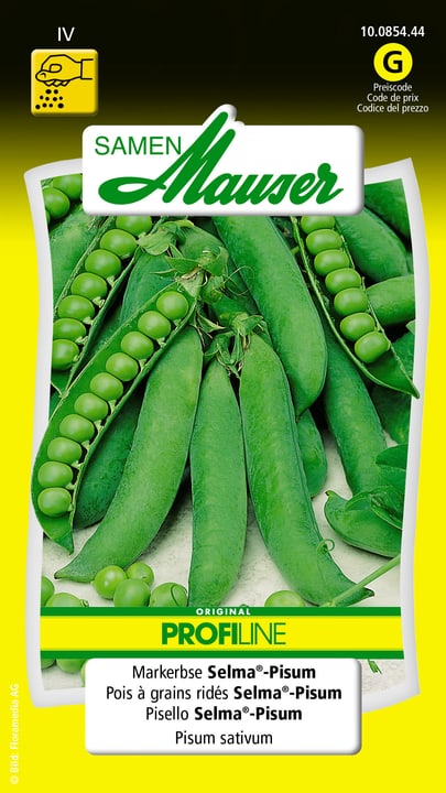 Image of Samen Mauser Markerbse Selma-Pisum Gemüsesamen bei Do it + Garden von Migros