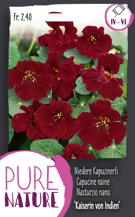 Image of Kapuzinerli 'Kaiserin von Indien' 5g Blumensamen bei Do it + Garden von Migros