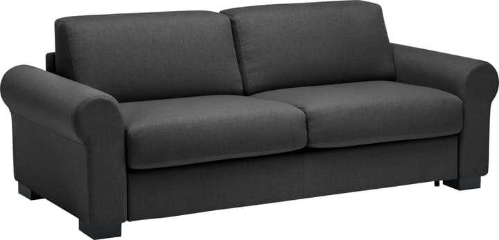 OPUS Canapé-lit OPUS Canapé-lit 402932800000 Couleur Noir Dimensions L: 222.0 cm x P: 204.0 cm x H: 82.0 cm Photo no. 1