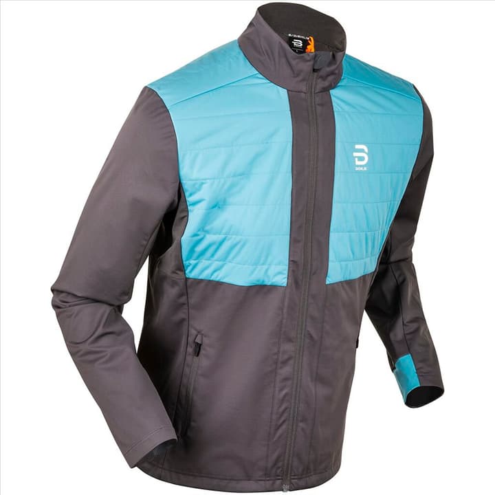 Image of Daehlie M Jacket Aware Langlaufjacke grau