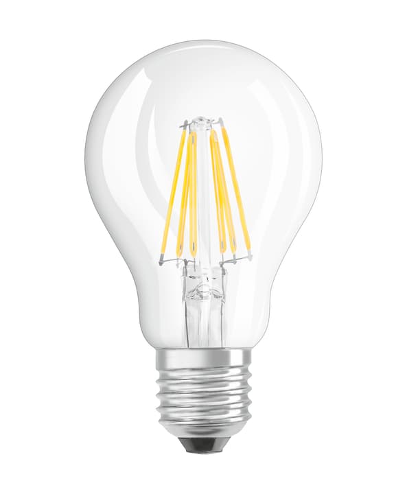 GLOWDIM CLASSIC A60 LED E27 7W GLOWDIM CLASSIC A60 LED E27 7W 421060600000 Bild Nr. 1