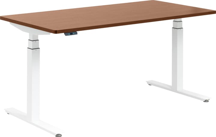 FLEXCUBE Bureau FLEXCUBE Bureau 401837900000 Dimensions L: 180.0 cm x P: 80.0 cm x H: 75.0 cm Couleur Chêne Photo no. 1
