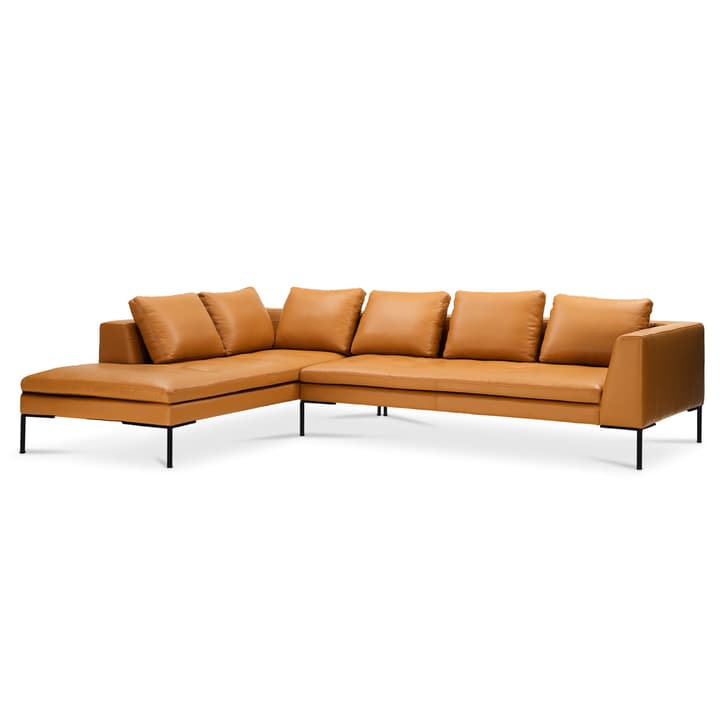 BRANDON Canapé d'angle Rec/3pl BRANDON Canapé d'angle Rec/3pl 366125650355 Dimensions L: 319.0 cm x P: 230.0 cm x H: 86.0 cm Couleur Cognac Photo no. 1