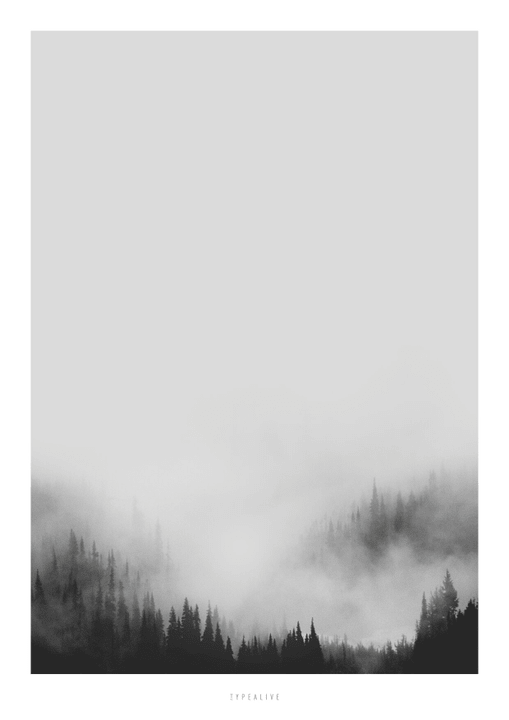 Image of Esmée Wald Postkarte bei Do it + Garden von Migros