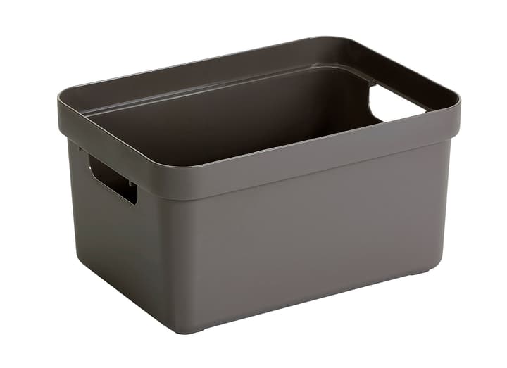 Image of Sigma home Box 13L Aufbewahrungsbox bei Do it + Garden von Migros