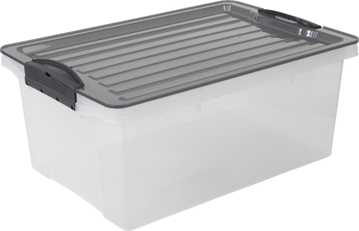 Image of Rotho Compact Aufbewahrungsbox 13l mit Deckel, Kunststoff (PP) BPA-frei, grau/transparent, A4