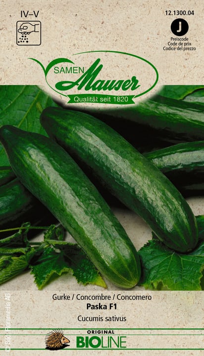 Image of Samen Mauser BIO Gurke Paska F1 Gemüsesamen