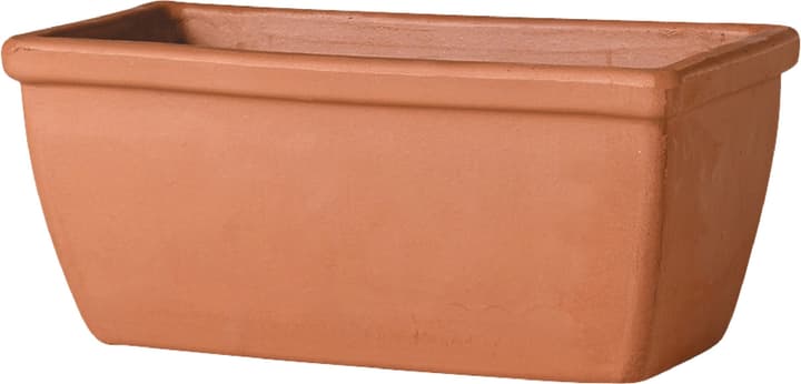 Image of White Roma Blumenkasten bei Do it + Garden von Migros