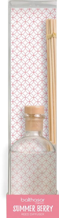 CLEAR Parfum d'ambiance CLEAR Parfum d'ambiance 440726500000 Photo no. 1