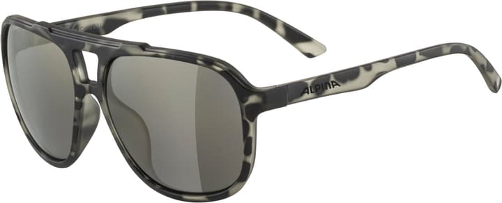 Image of Alpina Snazz Sportbrille grau