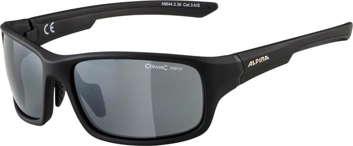 Image of Alpina Lyron S Sportbrille anthrazit