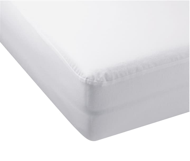 LUCIAN Fixmolton LUCIAN Fixmolton 451015531610 Grösse B: 180.0 cm x H: 200.0 cm Bild Nr. 1