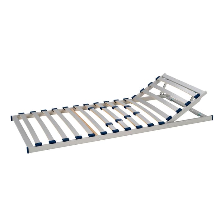 HAPPY FLEX BASIC 200 Sommier FLEX BASIC 200 Sommier HAPPY 364104743901 Largeur 120.0 cm Longueur 200.0 cm Photo no. 1