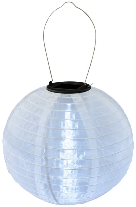 Lampion Suspension solaire