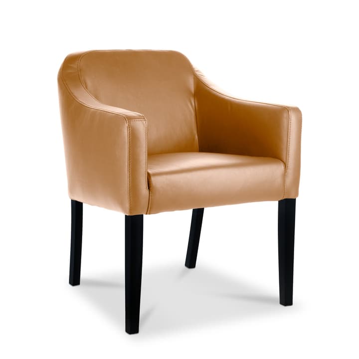 LUCAS Chaise Sauvage LUCAS Chaise Sauvage 366009136703 Dimensions L: 62.0 cm x P: 63.0 cm x H: 79.0 cm Couleur Cognac Photo no. 1