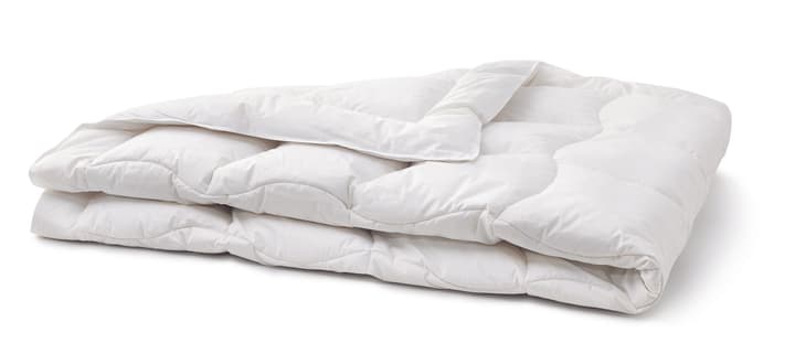 SANADAUN MEDIUM WARM Duvet de qualité supérieure SANADAUN MEDIUM WARM Duvet de qualité supérieure 451747712710 Couleur Blanc Dimensions L: 240.0 cm x P: 240.0 cm Photo no. 1
