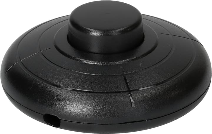 Image of Max Hauri 1-Polig Fusstretschalter bei Do it + Garden von Migros