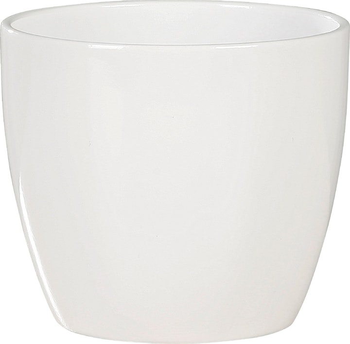 Image of Scheurich Kakteentopf Übertopf bei Do it + Garden von Migros