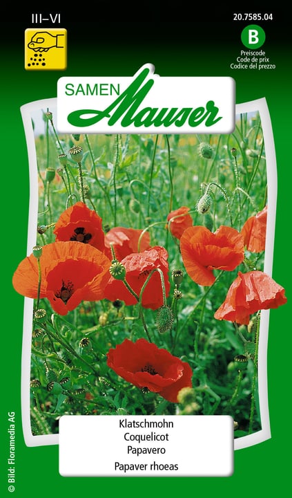 Image of Samen Mauser Klatschmohn Blumensamen bei Do it + Garden von Migros