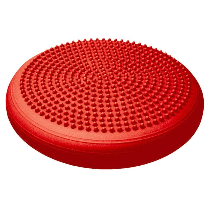 Image of Togu Dynair Senso Ballkissen Balance Trainer