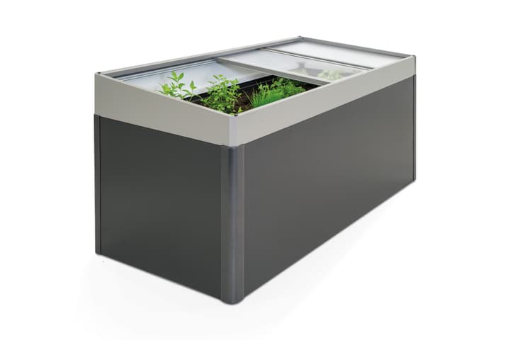 Image of Hochbeet Zubehör Frühbeetaufsatz bei Do it + Garden von Migros