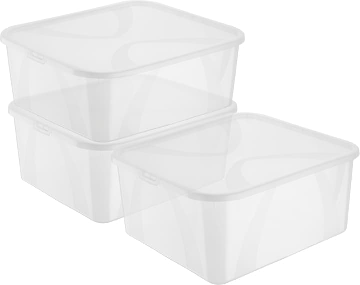 Image of Rotho Arco 19L, 3er Set Aufbewahrungsbox