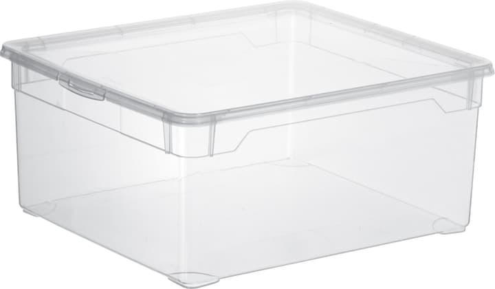 Image of Rotho Clear Box Sweater Aufbewahrungsbox